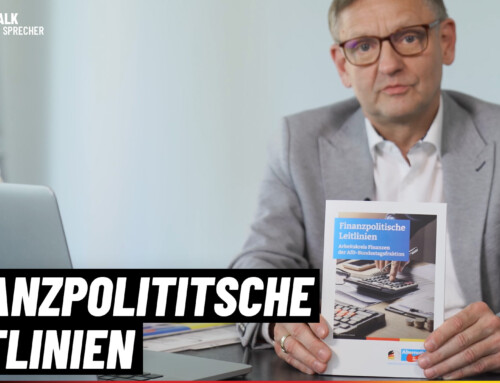 Finanzpolitische Leitlinien der AfD-Bundestagsfraktion